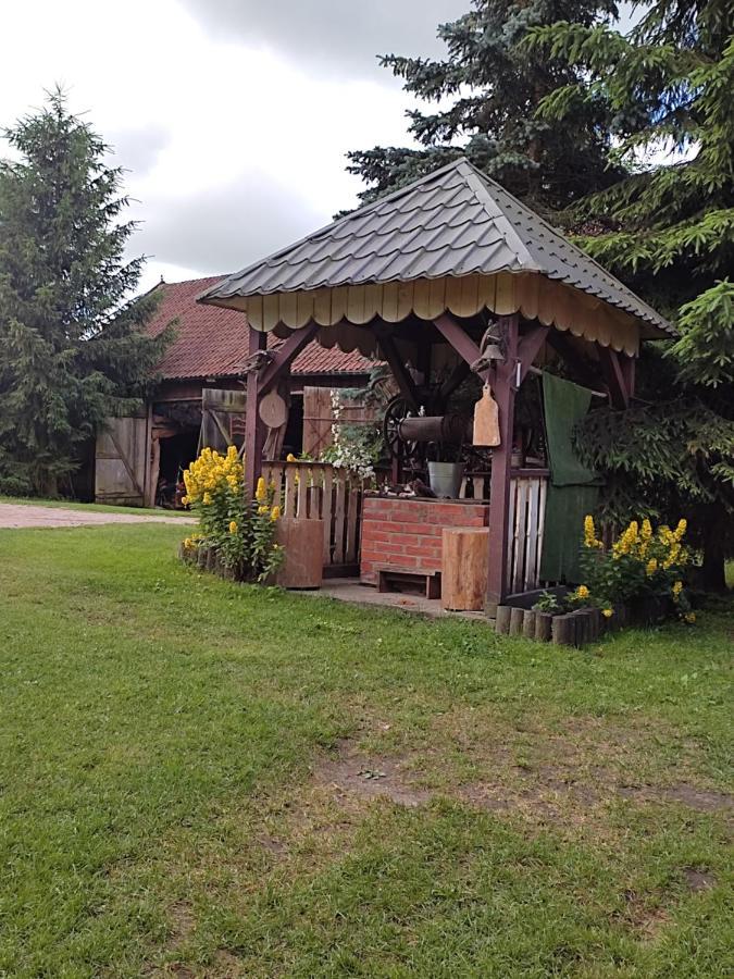 Agroturystyka Kajaki Sauna Pierogi Bakalarzewo Extérieur photo