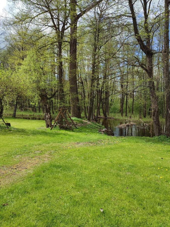 Agroturystyka Kajaki Sauna Pierogi Bakalarzewo Extérieur photo